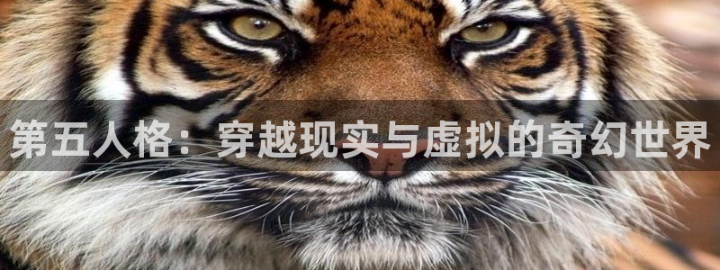 动漫之家x2.1.1：第五人格：穿越现实与虚拟的奇幻世界