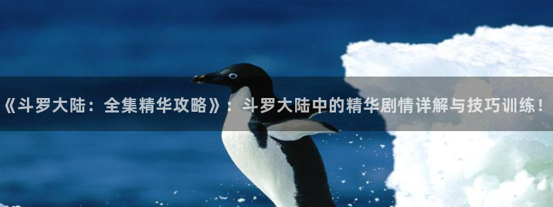acg动漫之家：《斗罗大陆：全集精华攻略》：斗罗大陆中的精华剧情详解与技巧训练！