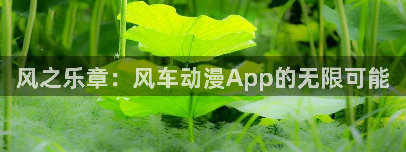 动漫之家破解版：风之乐章：风车动漫App的无限可能