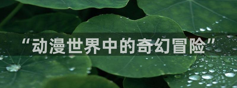 动漫之家178：“动漫世界中的奇幻冒险”