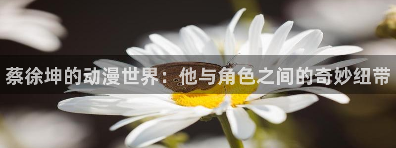 动漫之家漫：蔡徐坤的动漫世界：他与角色之间的奇妙纽带