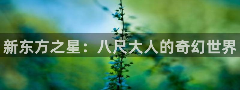 动漫之家漫画推荐：新东方之星：八尺大人的奇幻世界