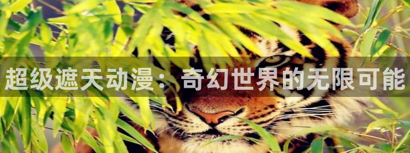 动漫之家网页版：超级遮天动漫：奇幻世界的无限可能