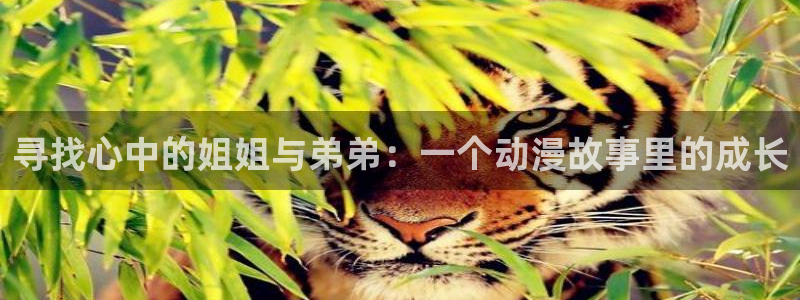 动漫之家一拳超人：寻找心中的姐姐与弟弟：一个动漫故事里的成长